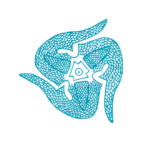 Acuarios xelha