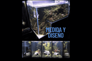 Pecera a medida y diseño