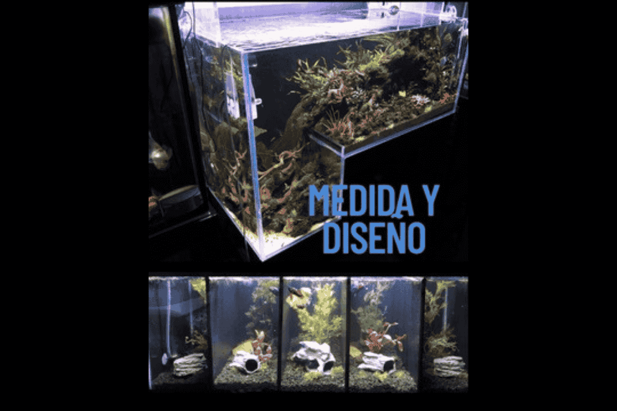 Pecera a medida y diseño