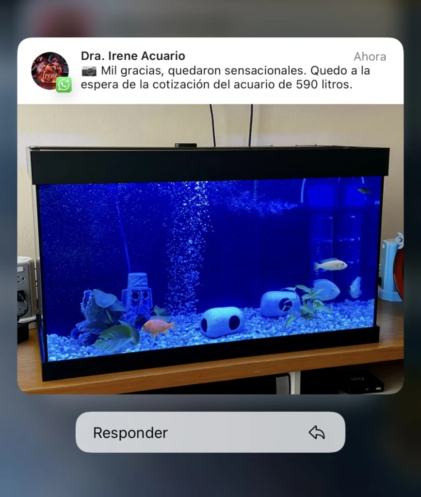 mantenimiento de acuarios