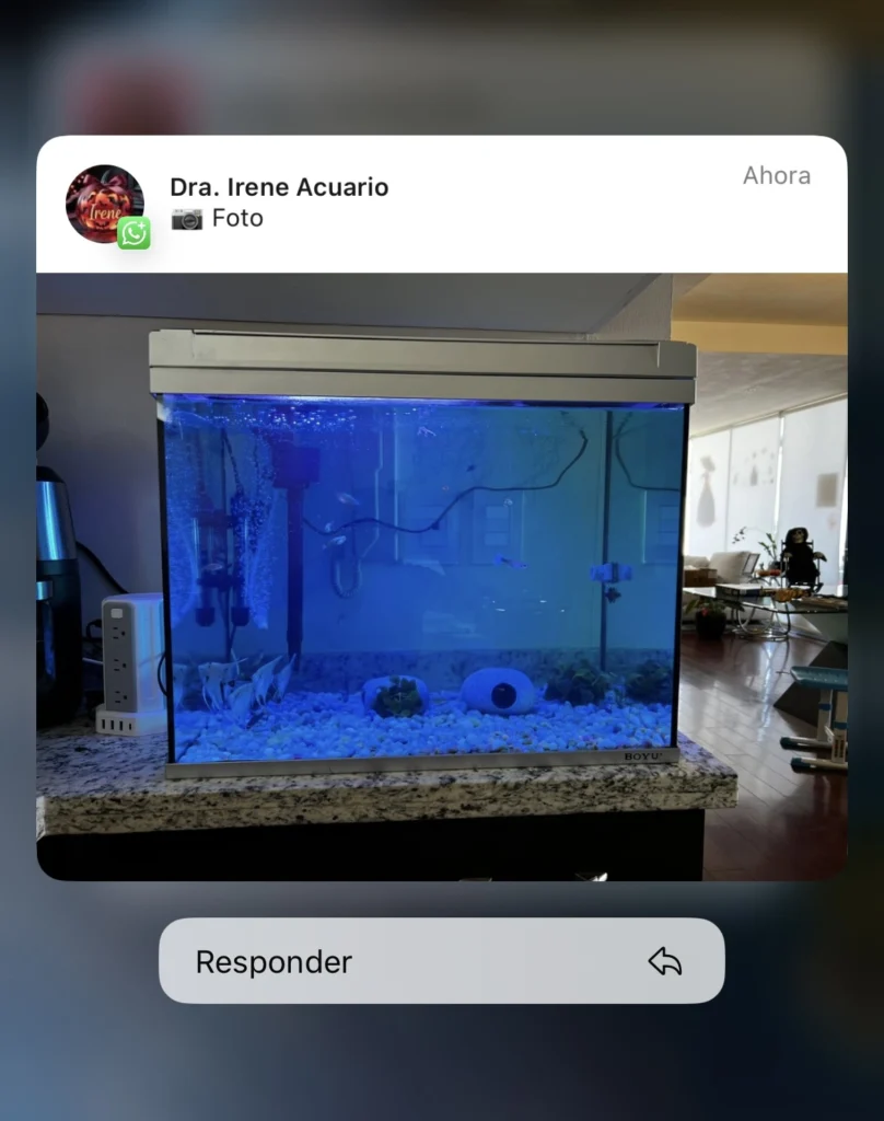 mantenimiento de peceras