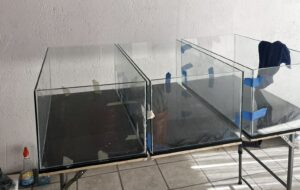 Peceras de 70*40*30 cm