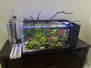 Pecera con medidas específicas y sistema de filtrado