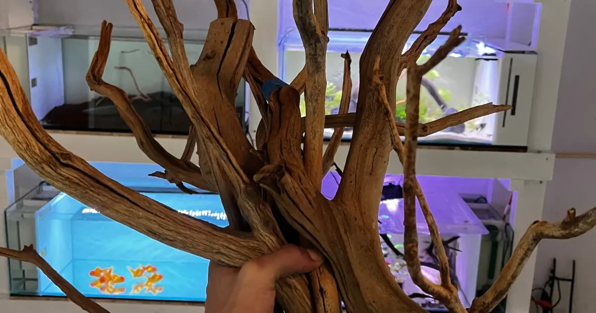 Raíces y Troncos para acuarios