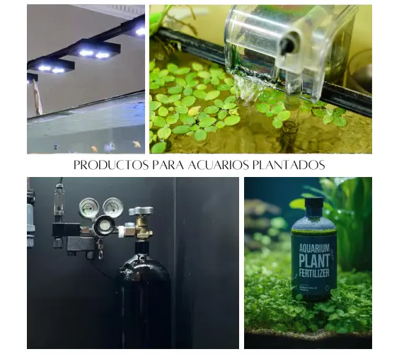 Productos necesarios para un acuario plantado Productos necesarios para un acuario plantado