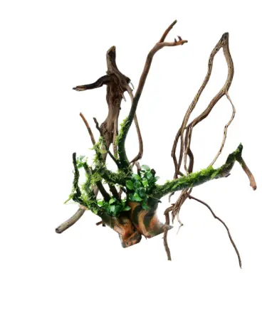 Raíces y troncos para aquascaping Raíces y troncos para aquascaping