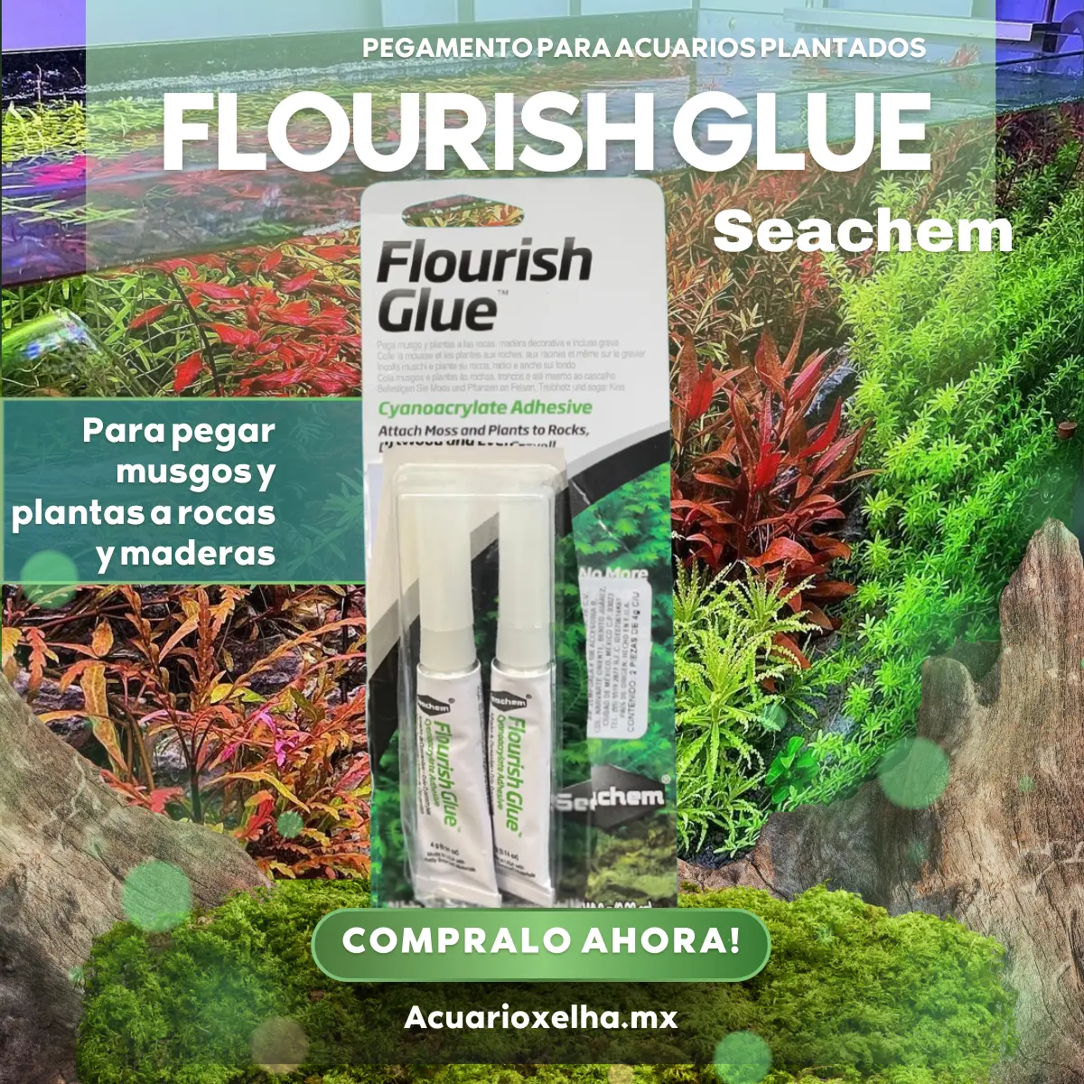 Flourish glue acuarios plantados seachem