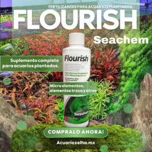 Seachem Flourish
