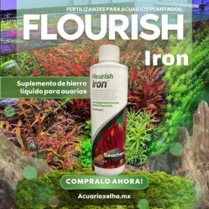 Seachem Flourish iron