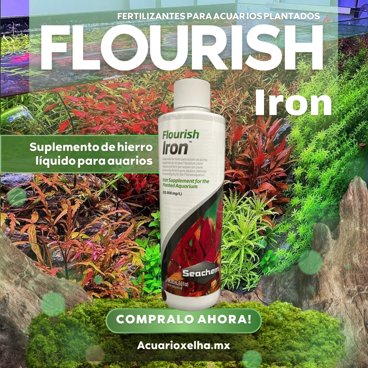 Seachem Flourish iron