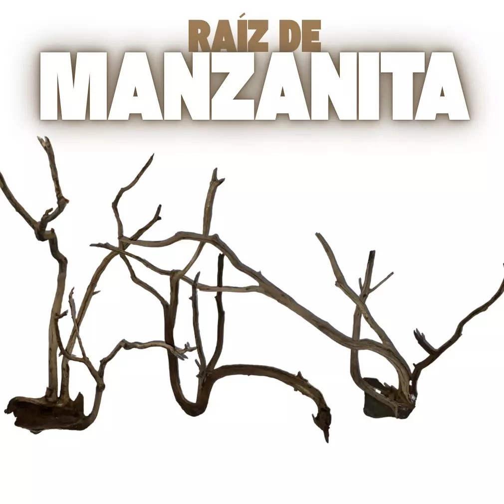 Troncos y raíces de manzanita para acuarios