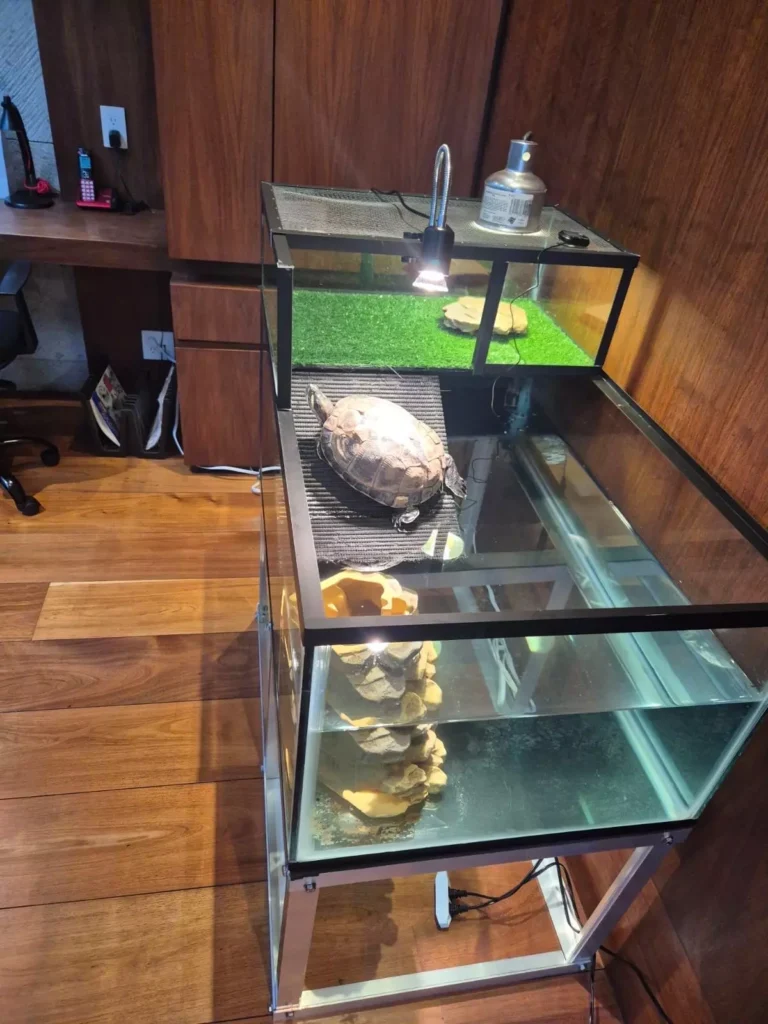 Fabricantes de peceras y tortugueros a medida