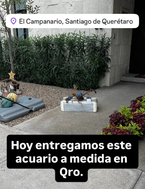 Pecera en campanario Querétaro 