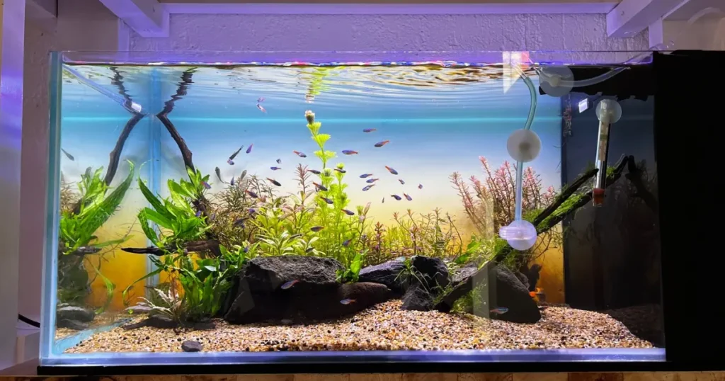 instalacion de acuario
